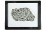 Polished Apollo Lunar Meteorite Slice ( g) - Gadamis #301140-1